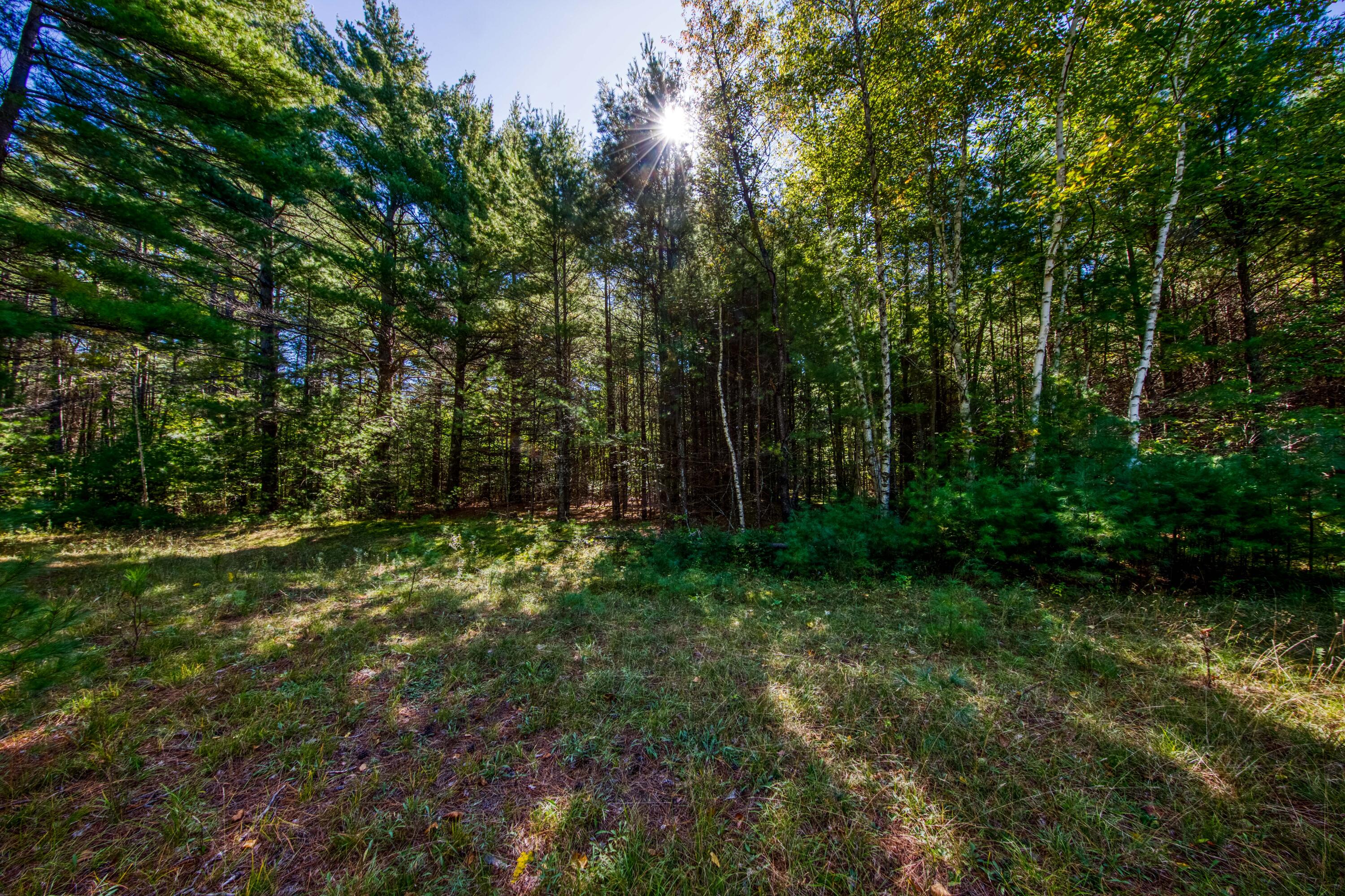 7 Winding Pine Way
