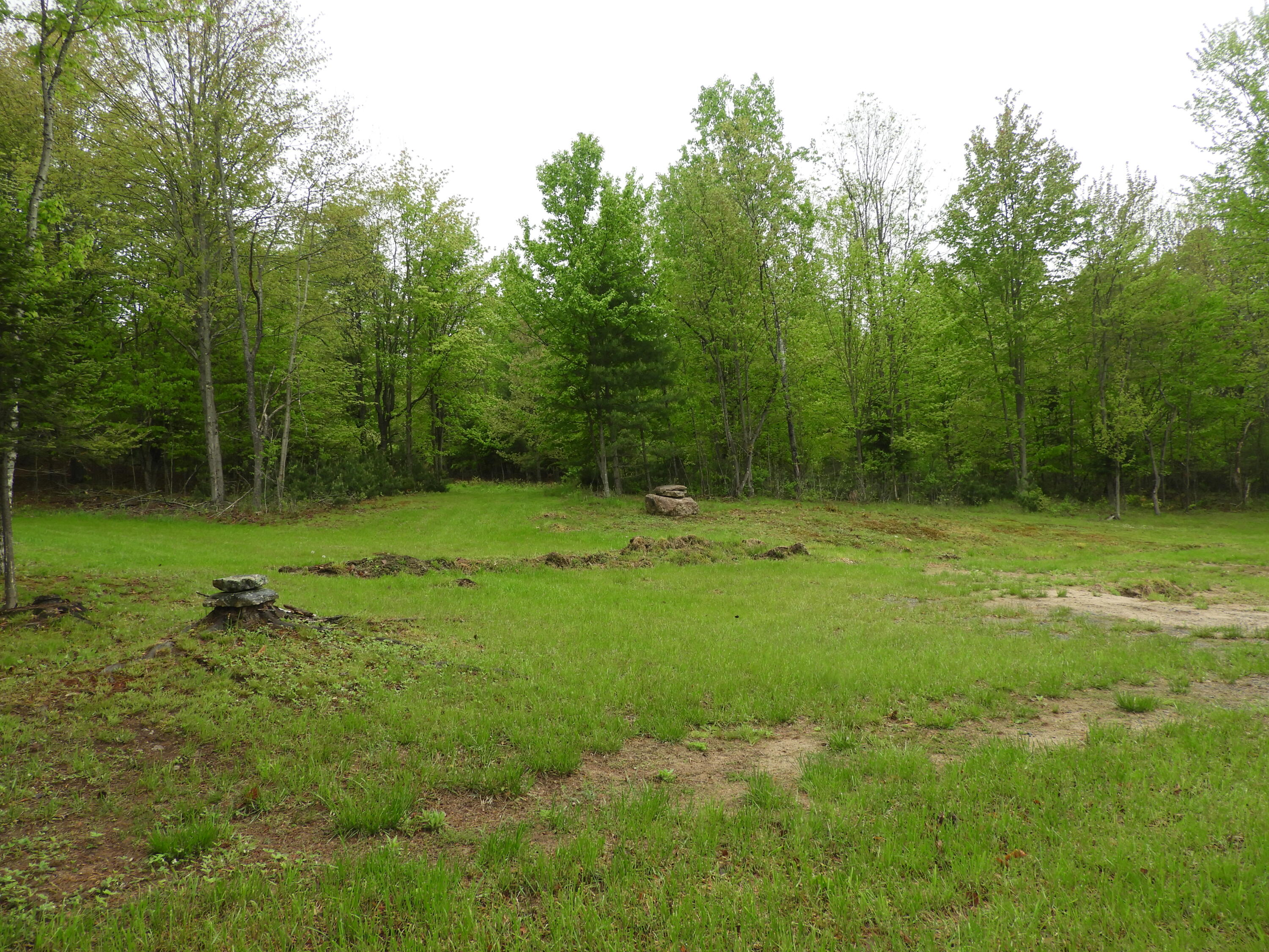Bucks Corner Road, Saranac, New York image 5