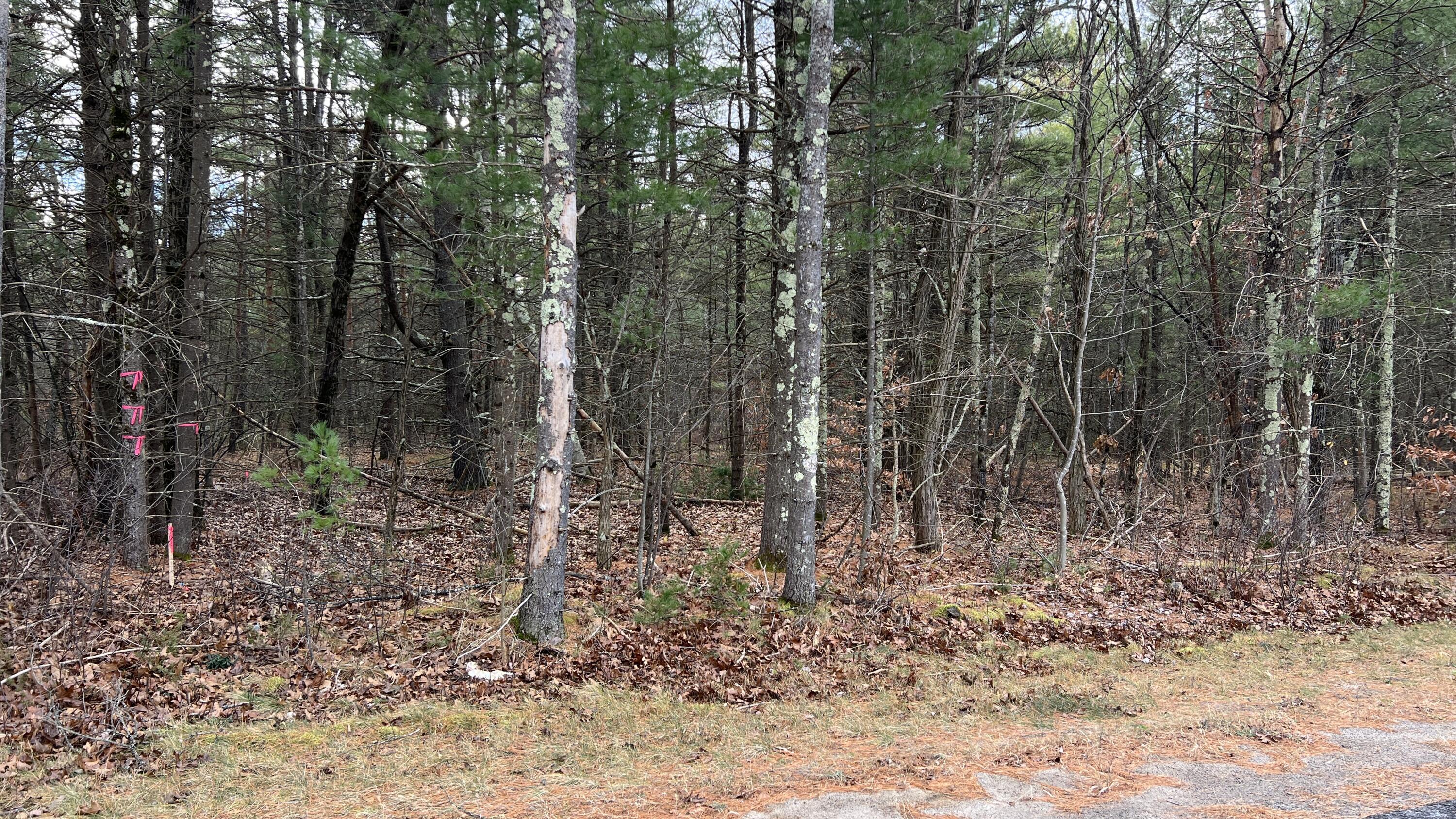 Lot-1 Taylor Hill Road, Keeseville, New York image 3