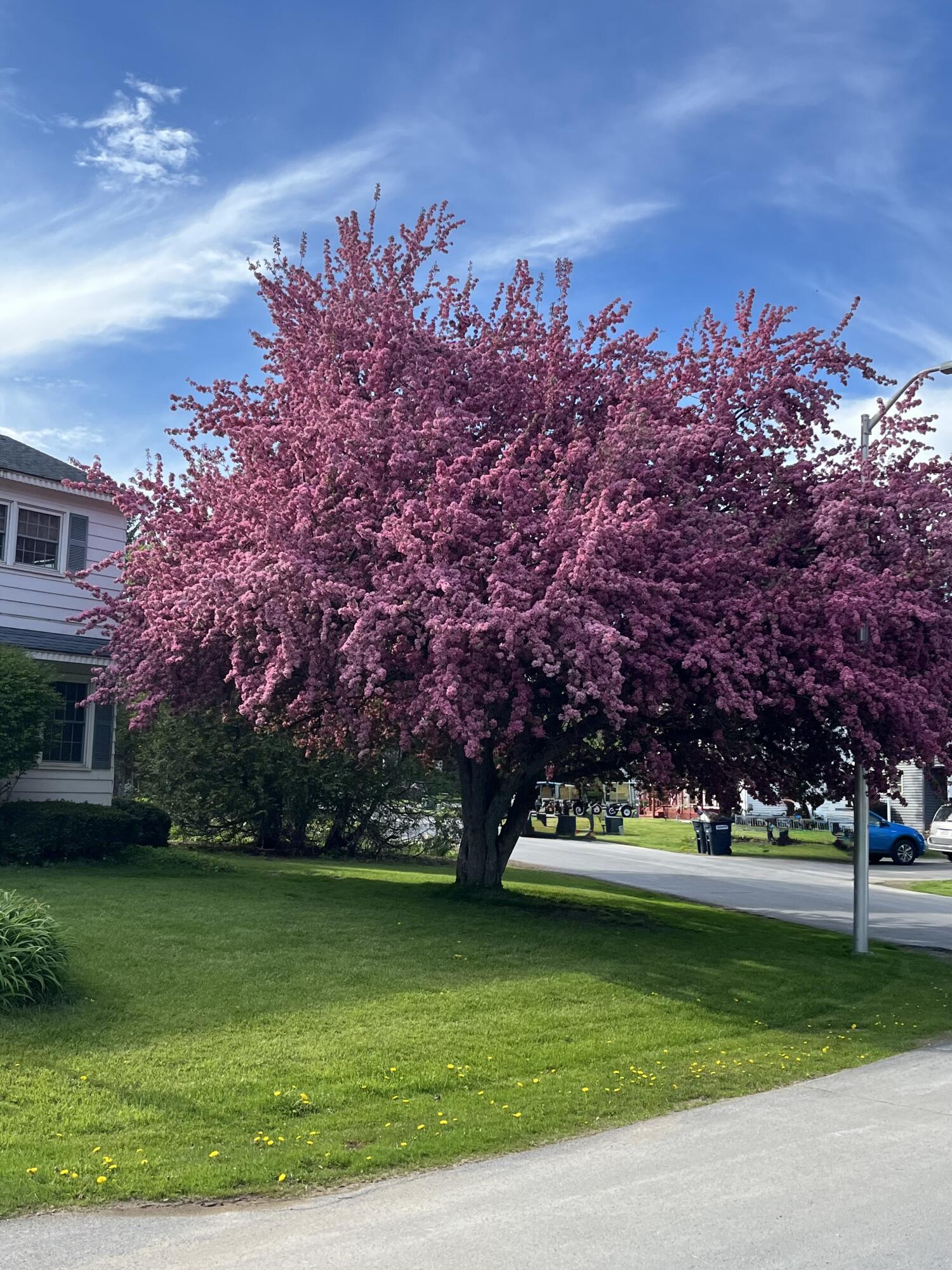 3 Edgewater Drive, Rouses Point, New York image 19