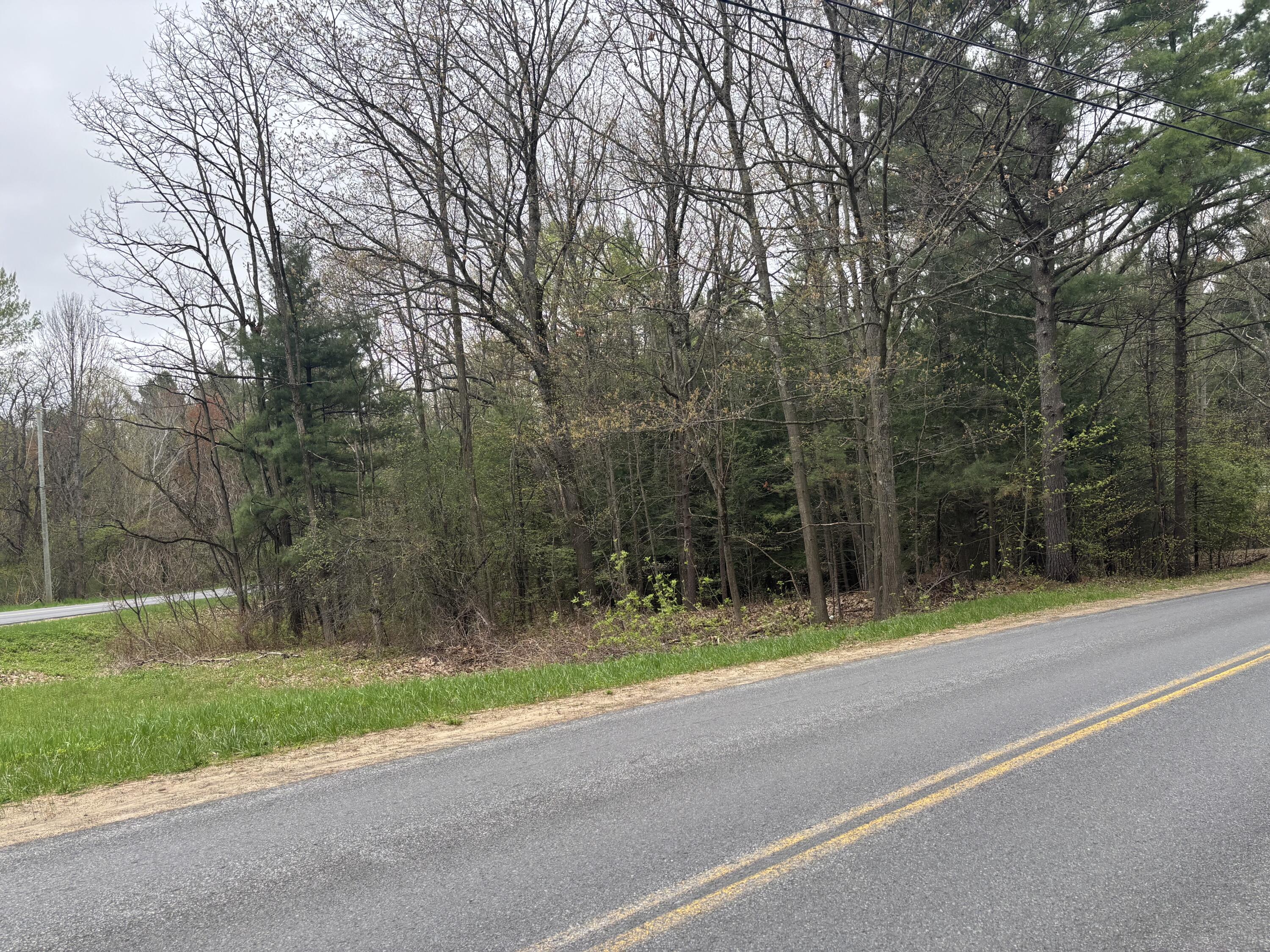Flat Rock Road, Schuyler Falls, New York image 1