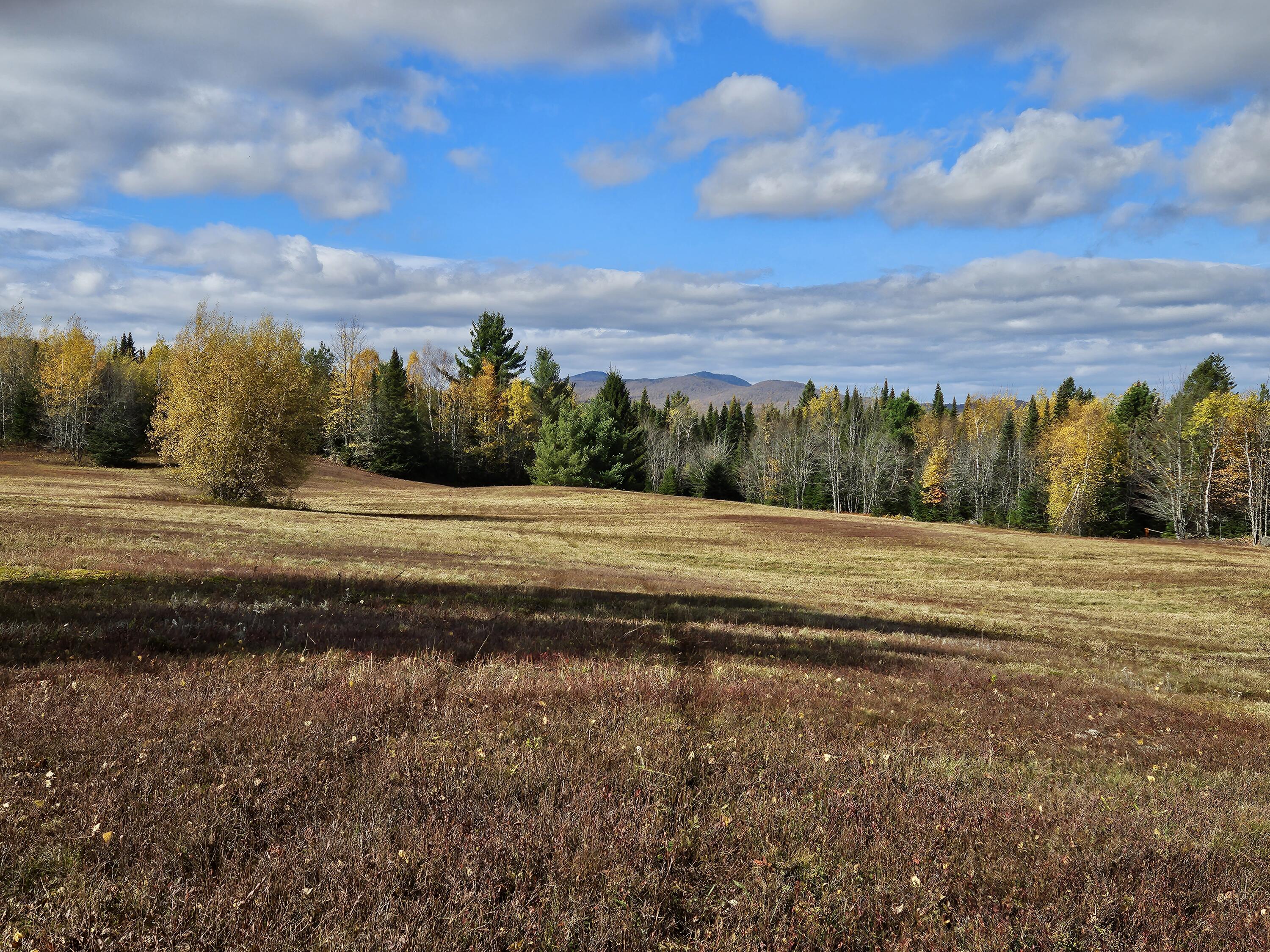 Lot 24 Mountain View Lane