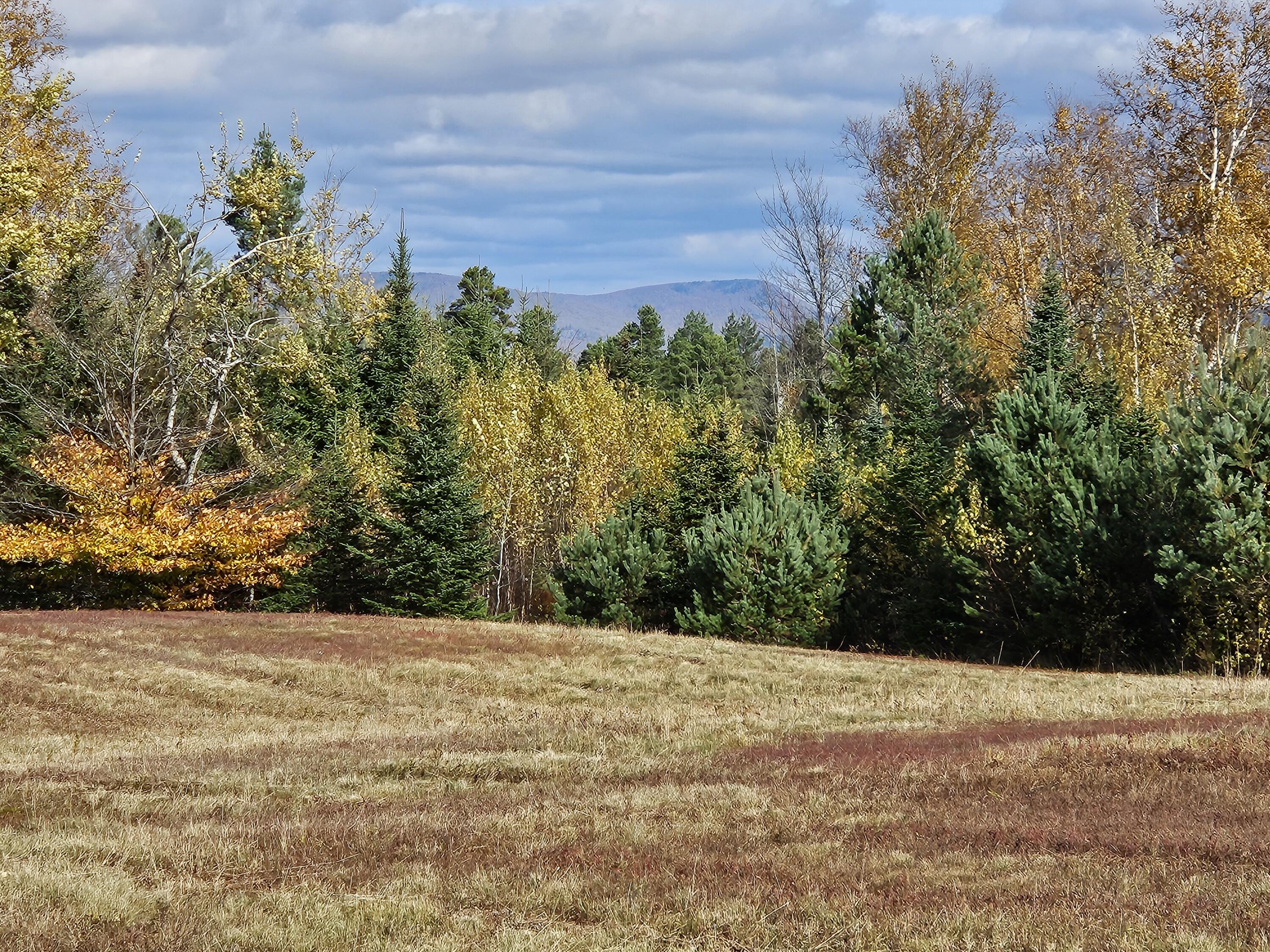 Lot 24 Mountain View Lane
