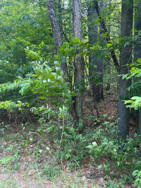 Vacant Land For Sale - 129 Cottontail Lane<br/> Jay, NY 12941