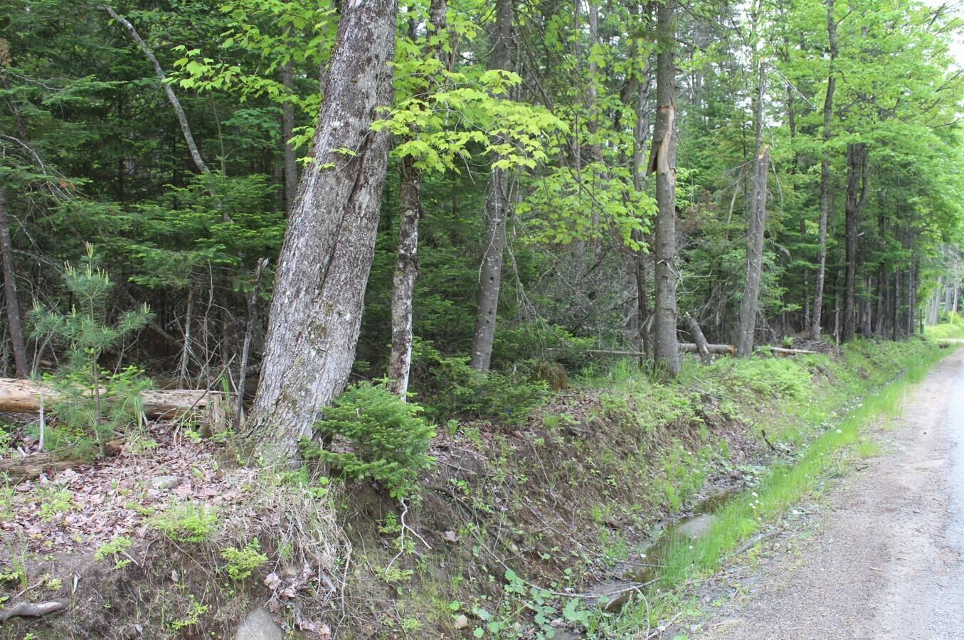 124 Fred Gay Road, Indian Lake, New York image 4