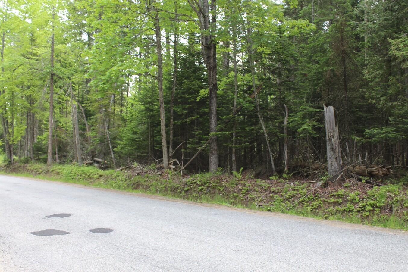124 Fred Gay Road, Indian Lake, New York image 1