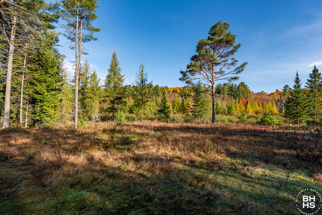 Saranac Lake, New York 12983, United States, ,Land,Active,224409