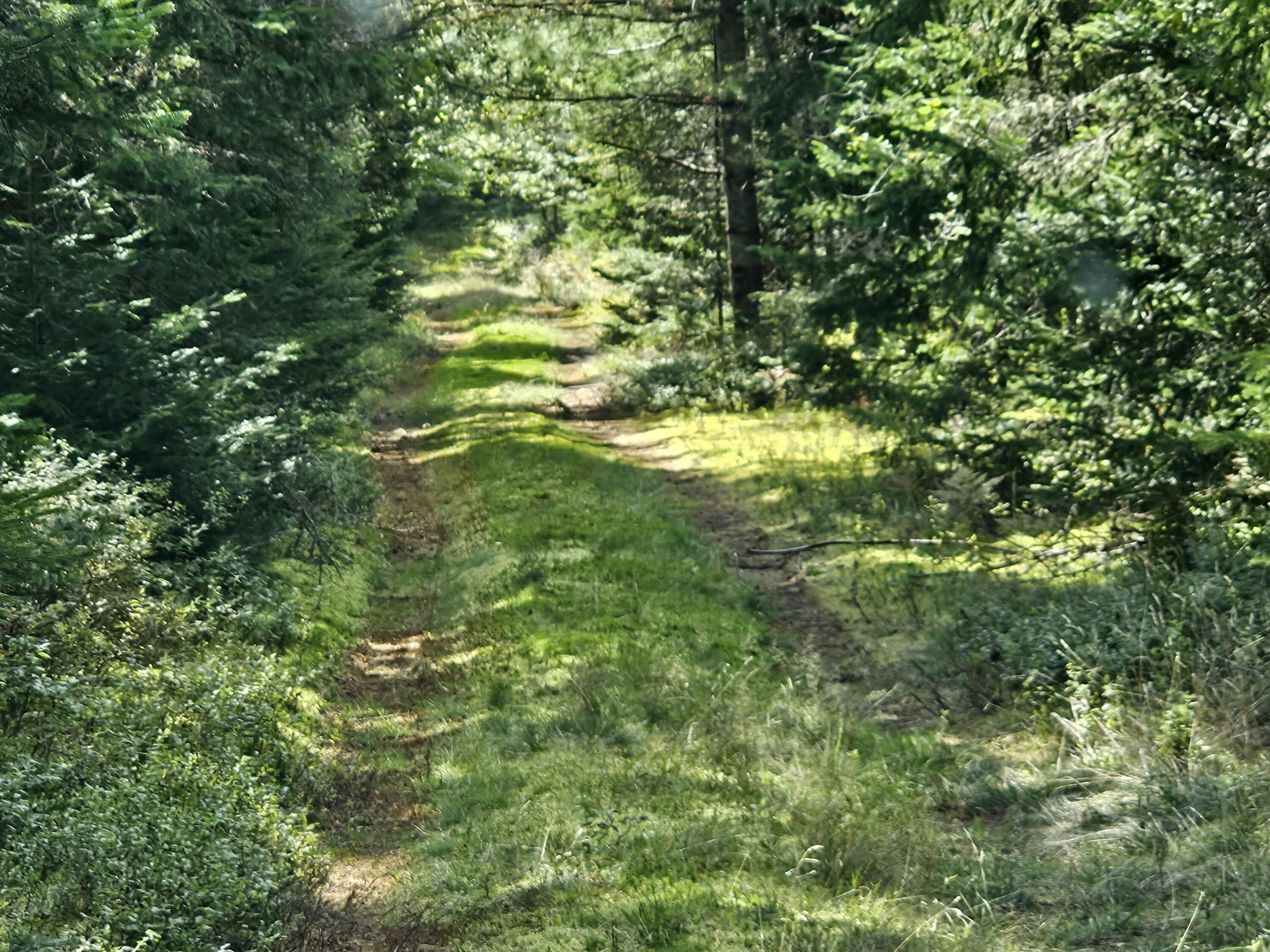 Lot 17 Daugneau Trail, Merrillsville, Alabama image 3