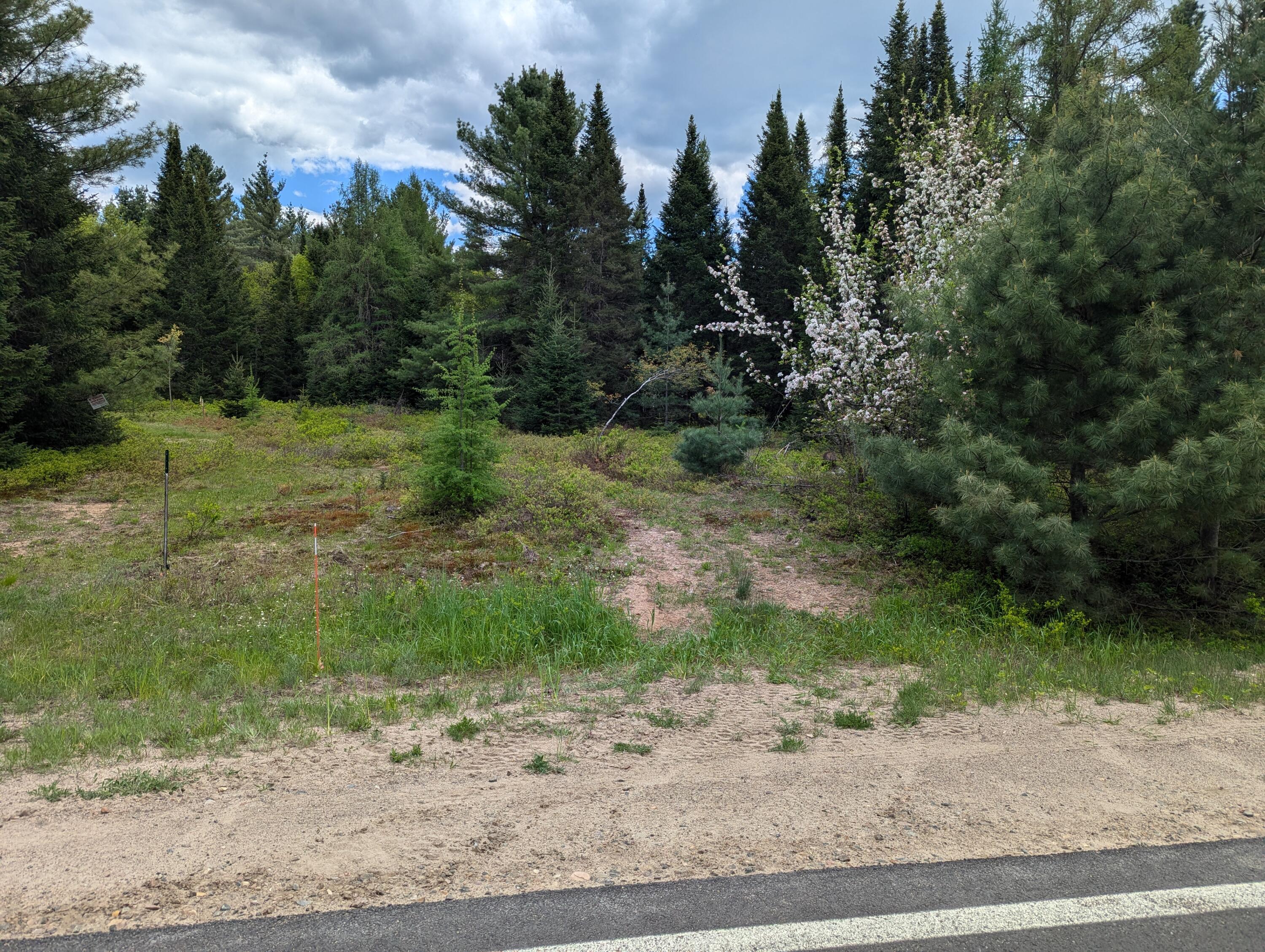 Lot #5 County Route 60, Rainbow Lake, New York image 4