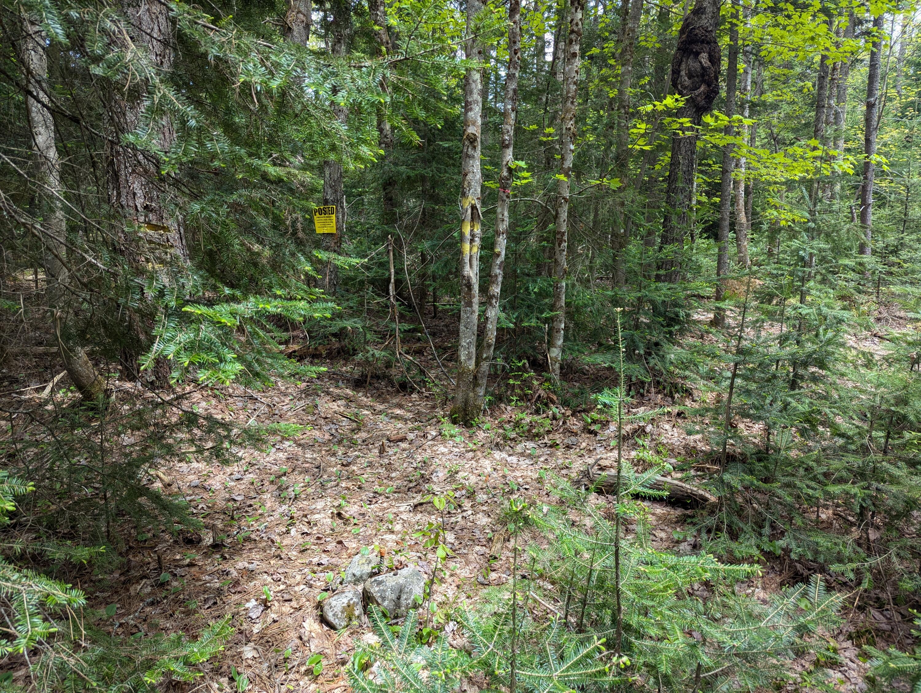 Lot #5 County Route 60, Rainbow Lake, New York image 2