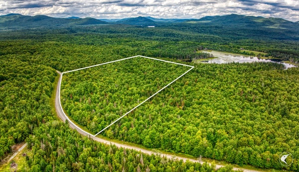 125 DAIGNEAU TRL, VERMONTVILLE, NY 12989 - Image cc2541528024f6bb4f3ec0f1471c2749/2333081672
