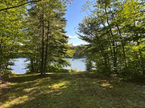 Vacant Land For Sale - 1028 Goodnow Flow Road<br/> Newcomb, NY 12852