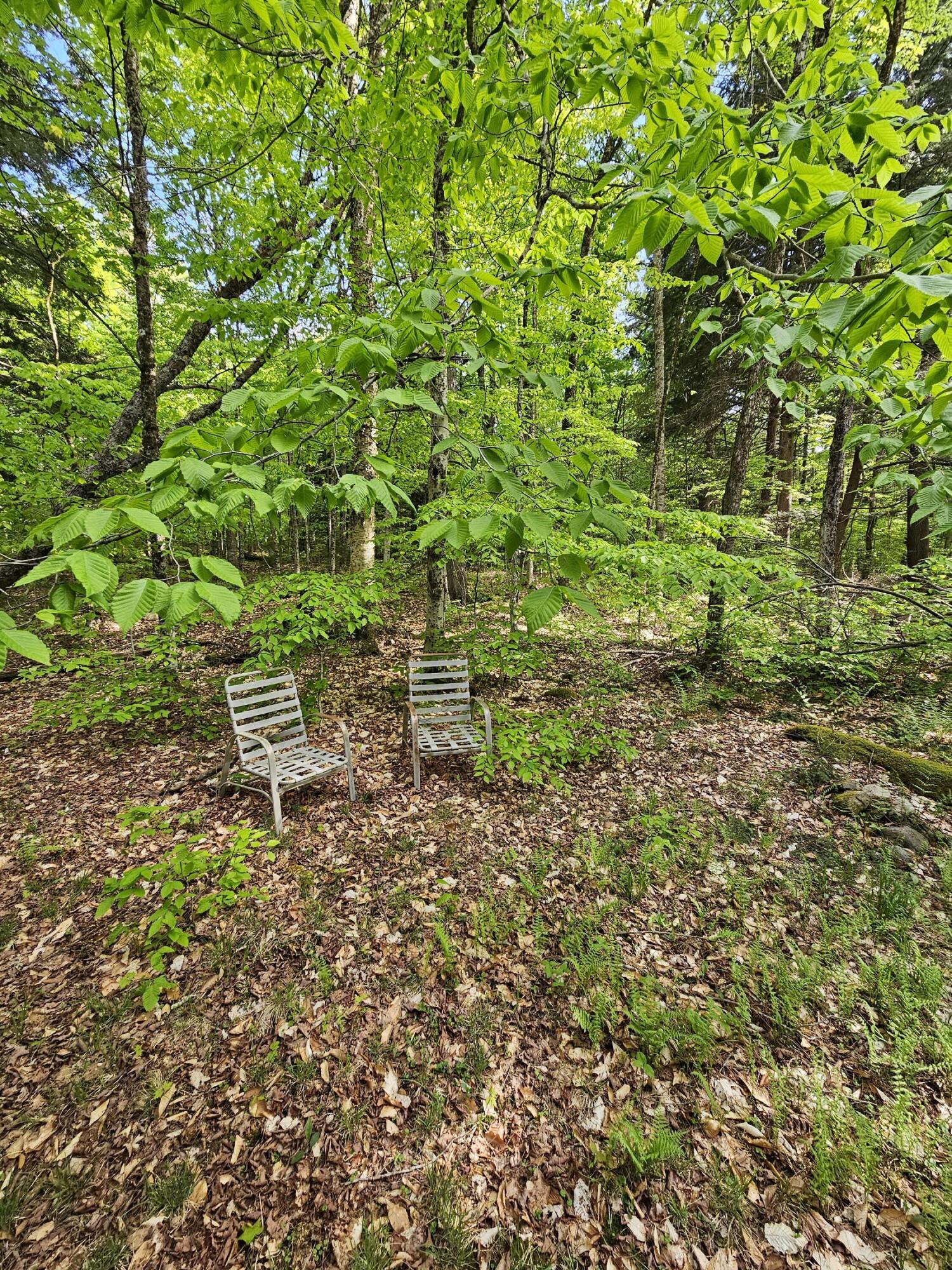 736 Bartlett Carry Road, Saranac Lake, New York image 9