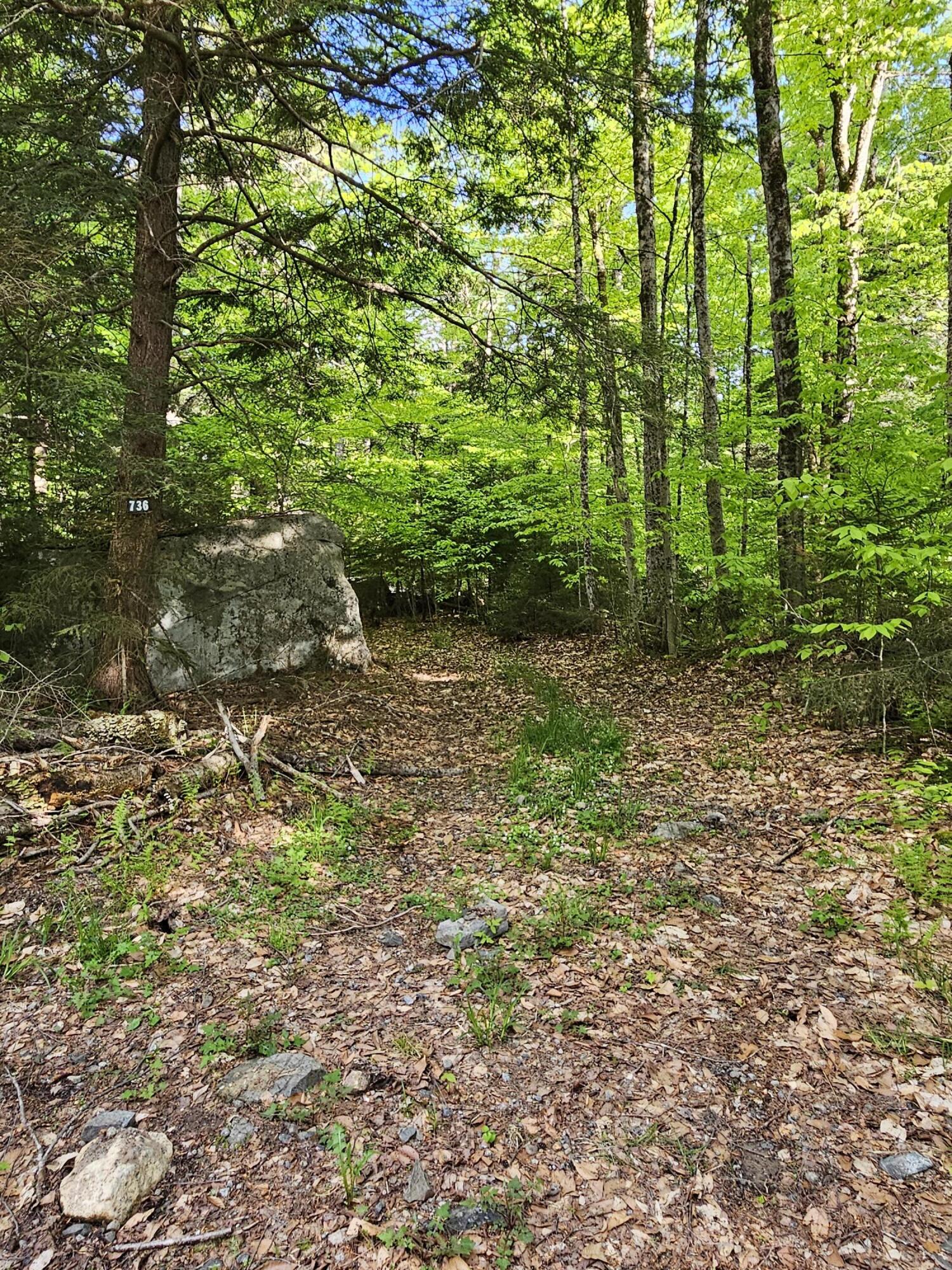 736 Bartlett Carry Road, Saranac Lake, New York image 13