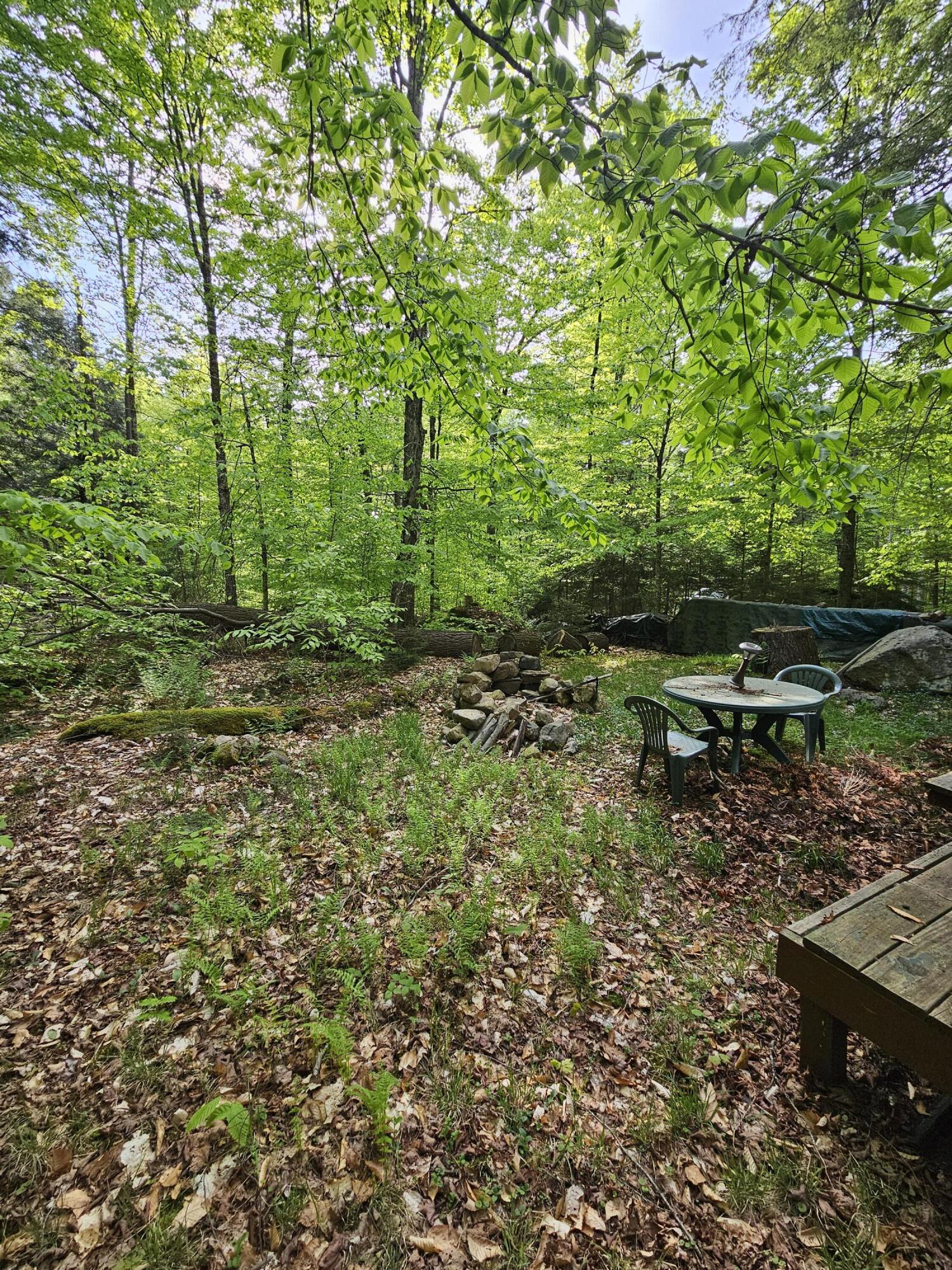 736 Bartlett Carry Road, Saranac Lake, New York image 8
