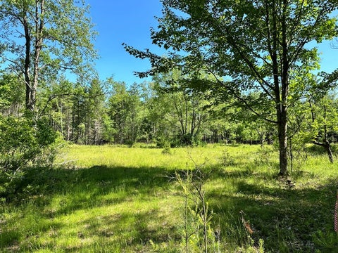 Vacant Land For Sale - Mellow Way (lot #7)<br/> Wilmington, NY 12997