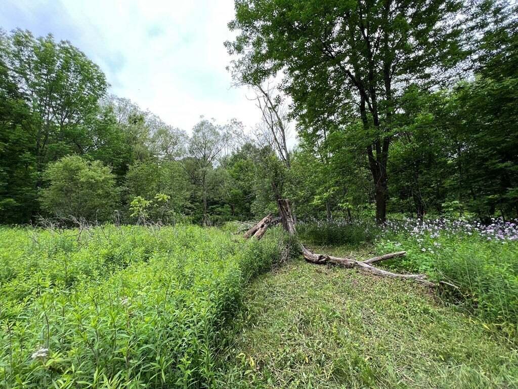 15 Simms Road, Chateaugay, New York image 11
