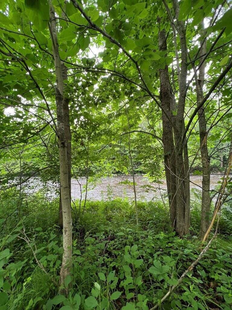 15 Simms Road, Chateaugay, New York image 2