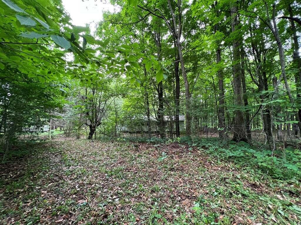 15 Simms Road, Chateaugay, New York image 16