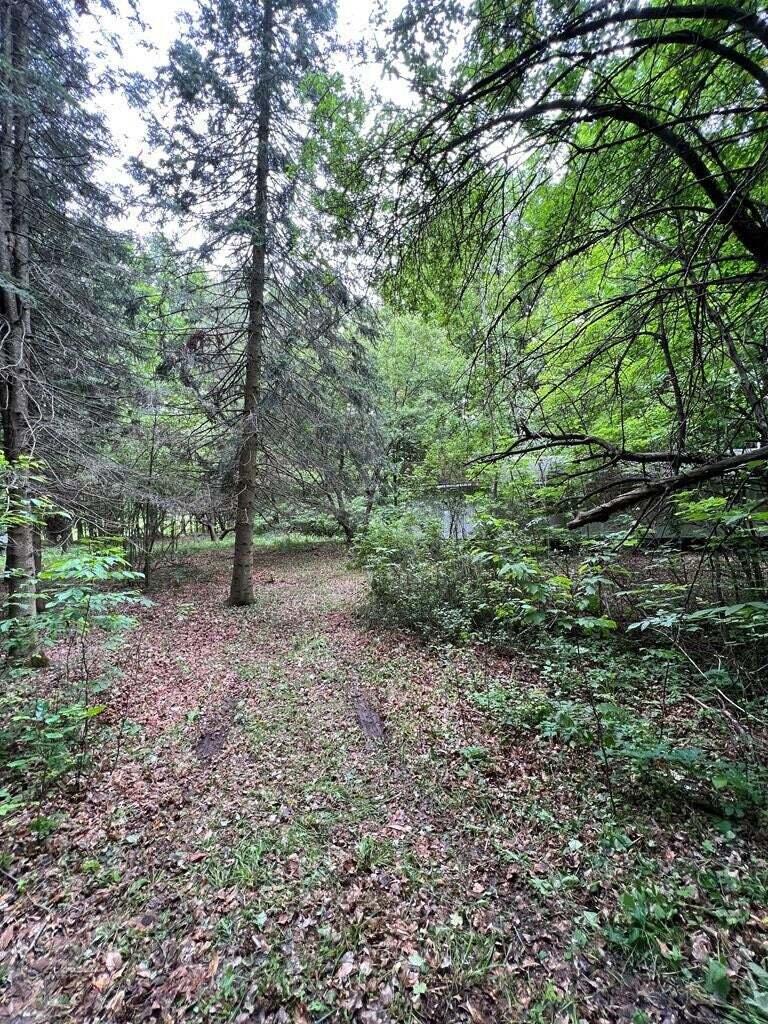 15 Simms Road, Chateaugay, New York image 24