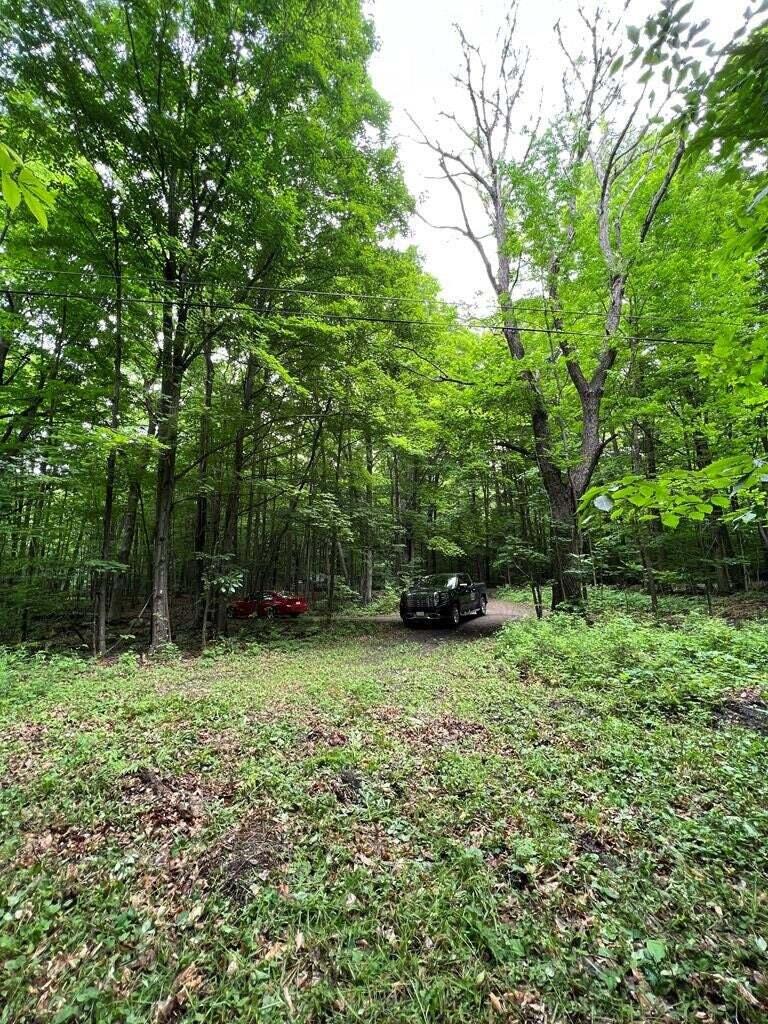 15 Simms Road, Chateaugay, New York image 22