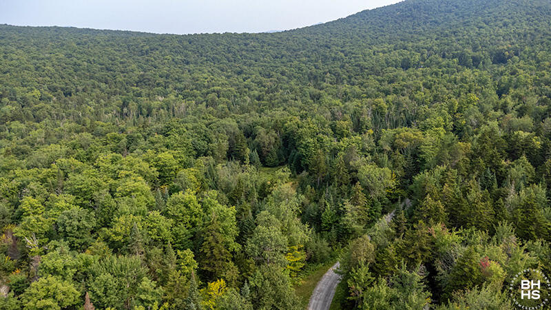 Grouse Creek Lot #2, Lake Placid, New York image 9