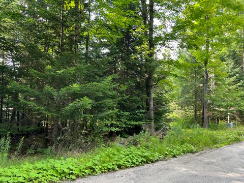Vacant Land For Sale - Grouse Creek Lot #2<br/> Lake Placid, NY 12946