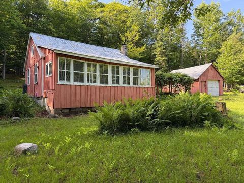 Homes For Sale - 183 Fish Mountain Road<br/> Hamilton County, Speculator, NY 12108