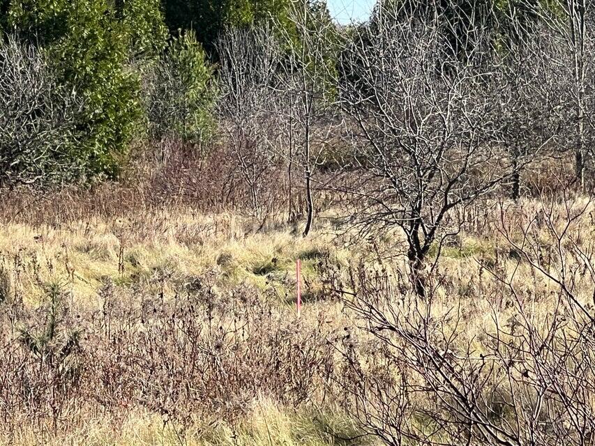 . Ketcham Bridge Road, West Chazy, New York image 6