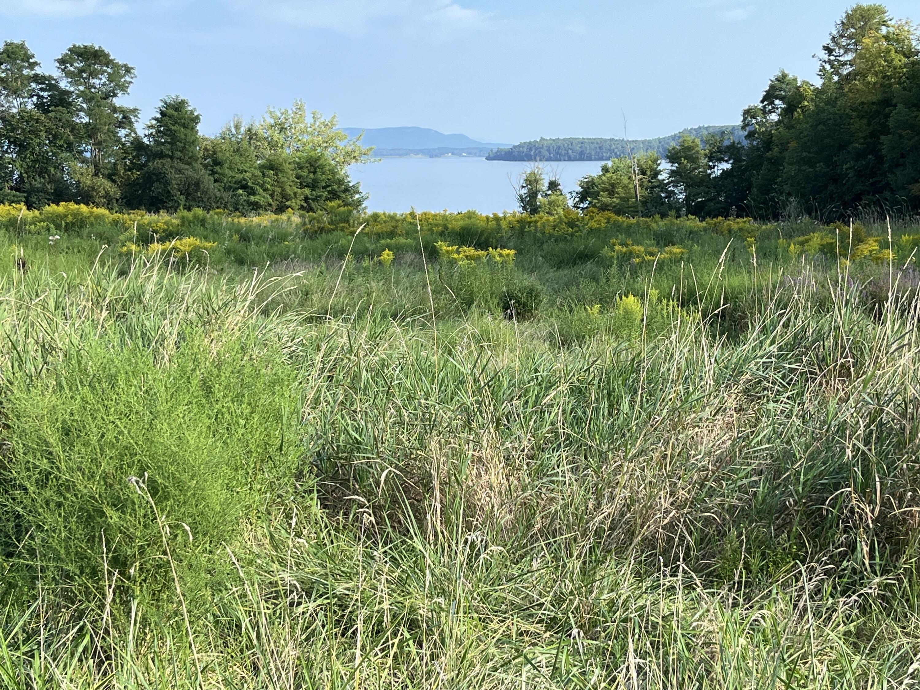 12 Furnace Point Lane, Westport, New York image 7