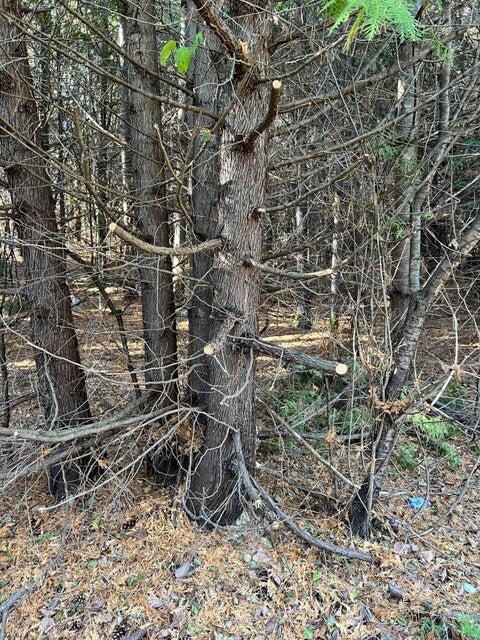  Ketcham Bridge Road, West Chazy, New York image 8