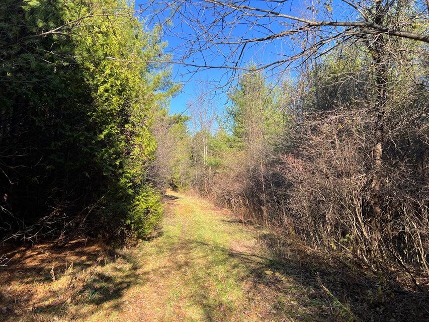  Ketcham Bridge Road, West Chazy, New York image 5