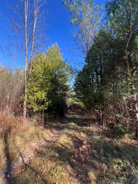  Ketcham Bridge Road, West Chazy, New York image 4