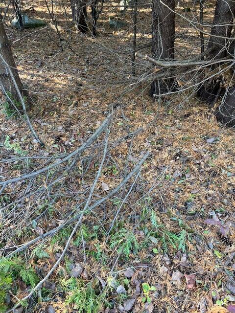  Ketcham Bridge Road, West Chazy, New York image 7
