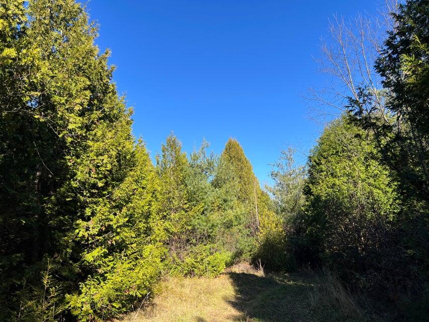  Ketcham Bridge Road, West Chazy, New York image 10