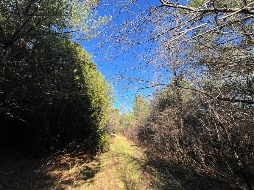  Ketcham Bridge Road, West Chazy, New York image 6