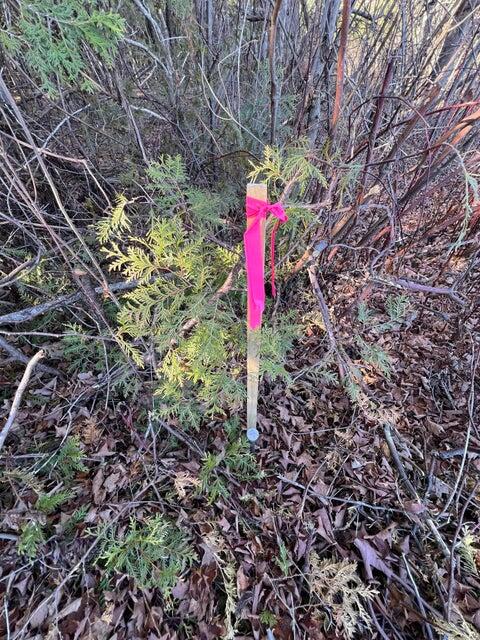  Ketcham Bridge Road, West Chazy, New York image 13