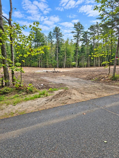 Vacant Land For Sale - 20 Pine Grove Lane<br/> Vermontville, NY 12989