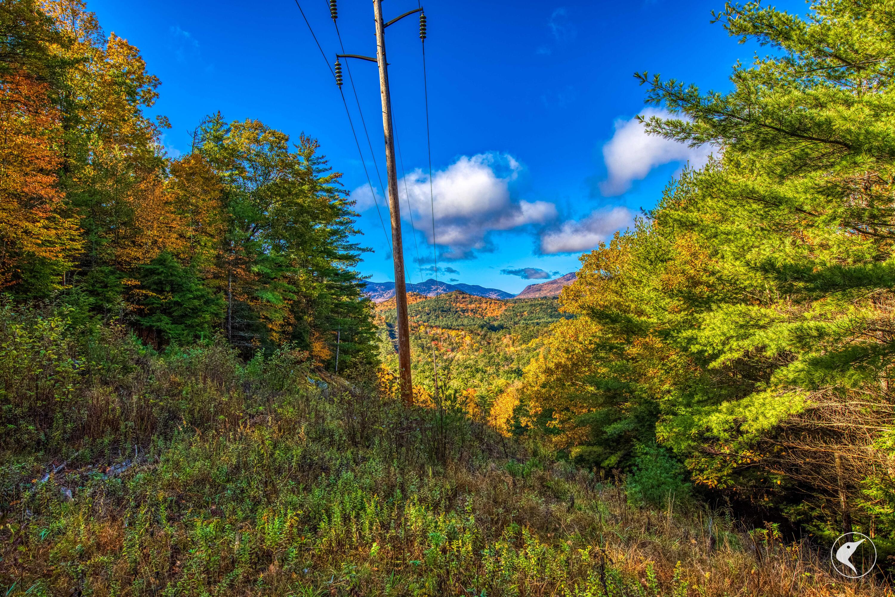 140 Fox Run Road
