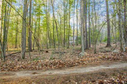 Vacant Land For Sale - Evergreen Lane<br/> Jay, NY 12941