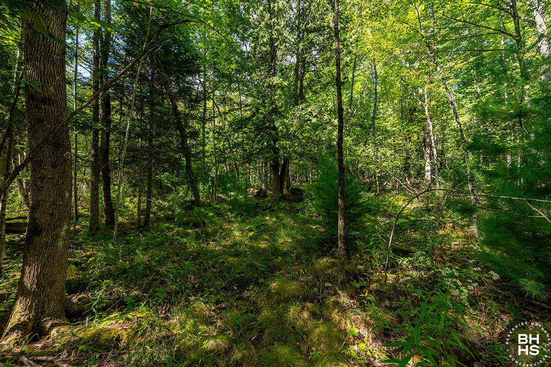 Wilmington, New York 12997, United States, 3 Bedrooms Bedrooms, ,2 BathroomsBathrooms,Residential,Active,212057