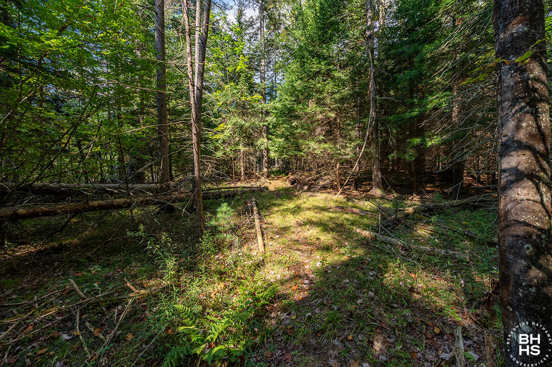 Wilmington, New York 12997, United States, 3 Bedrooms Bedrooms, ,2 BathroomsBathrooms,Residential,Active,212057