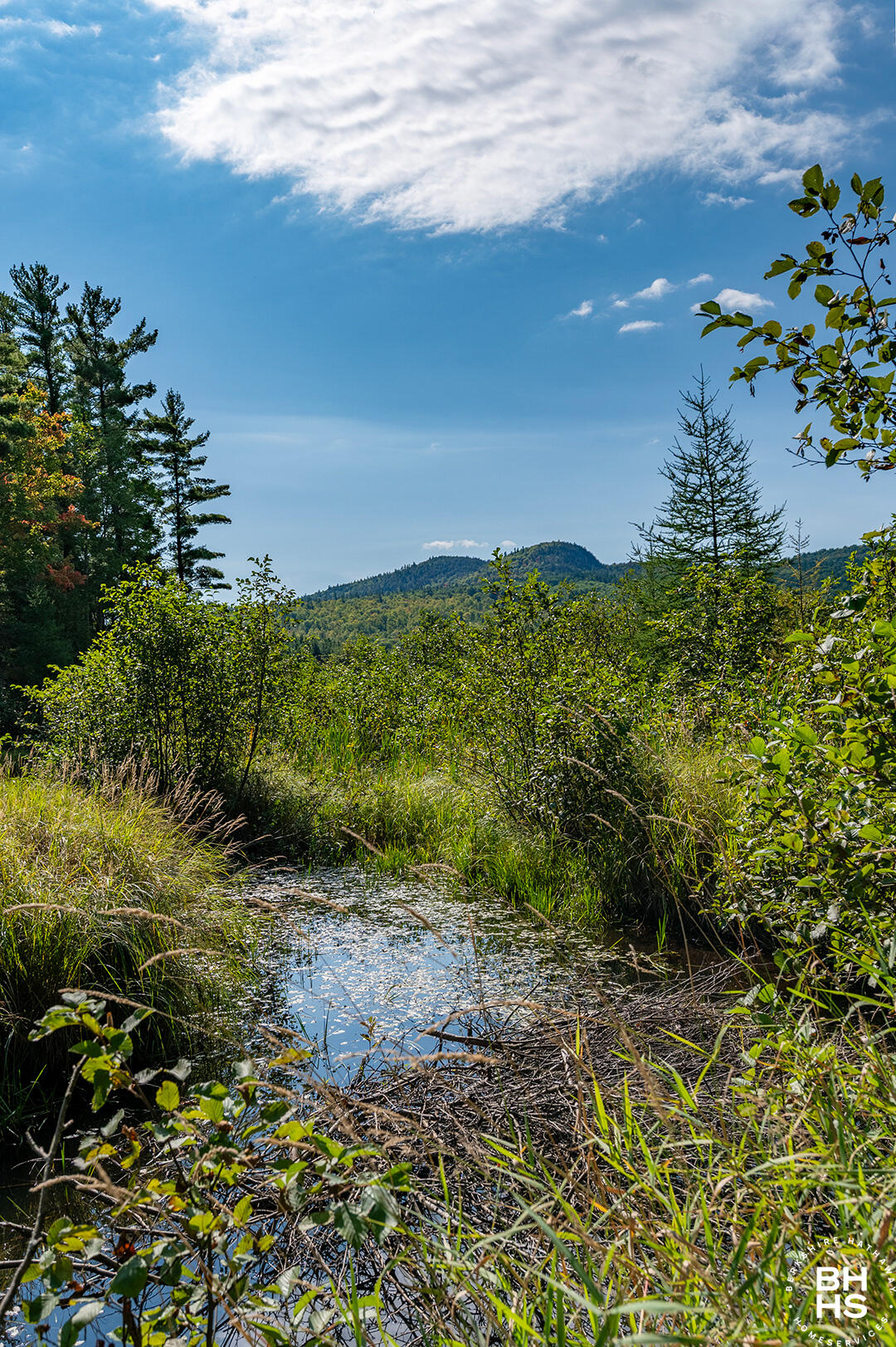 Wilmington, New York 12997, United States, 3 Bedrooms Bedrooms, ,2 BathroomsBathrooms,Residential,Active,212057