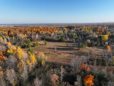 Vacant Land For Sale - 00 Haynes Road<br/> Plattsburgh, NY 12901