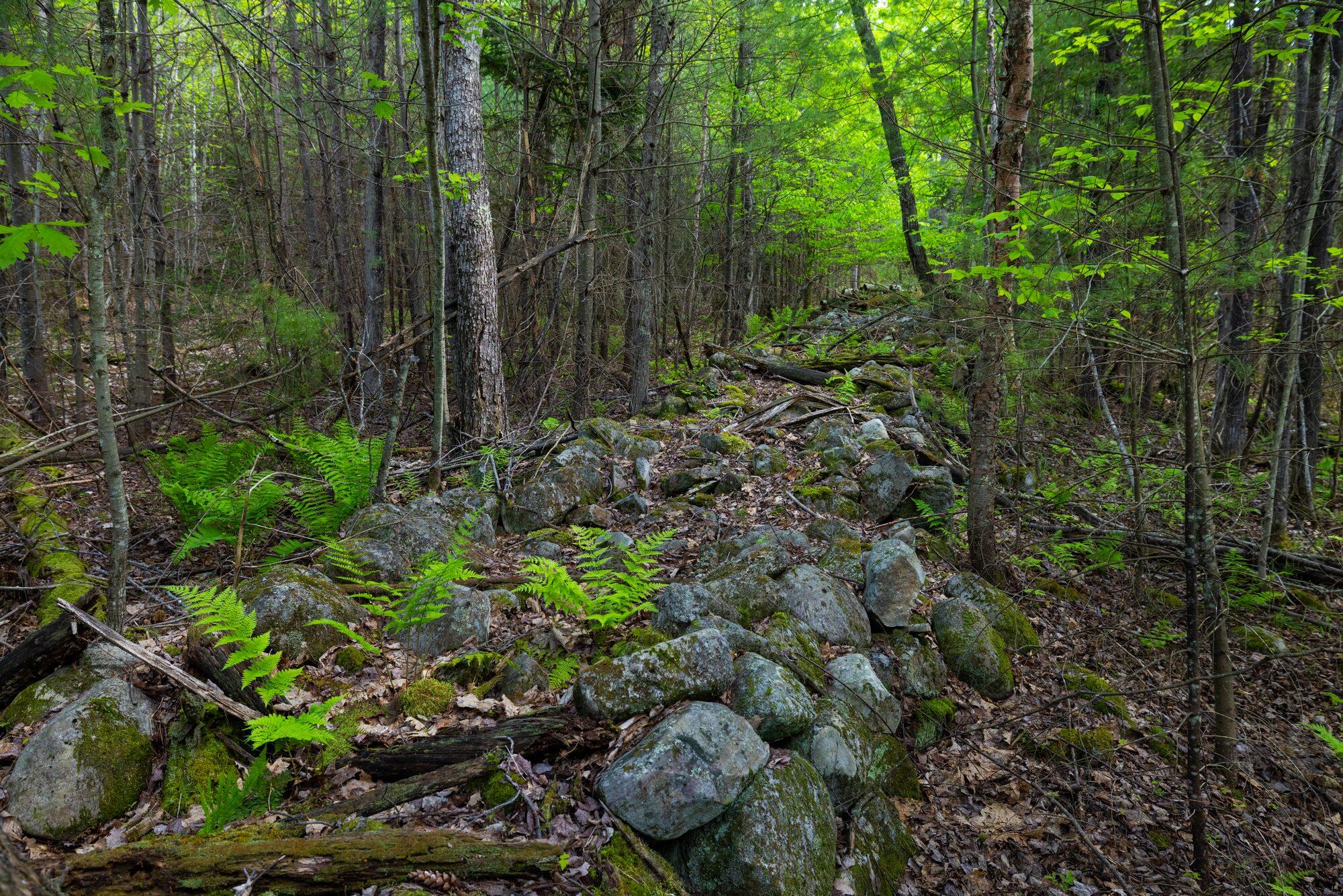 Lot 3 Wildernesscapes Way Way, Jay, New York image 10