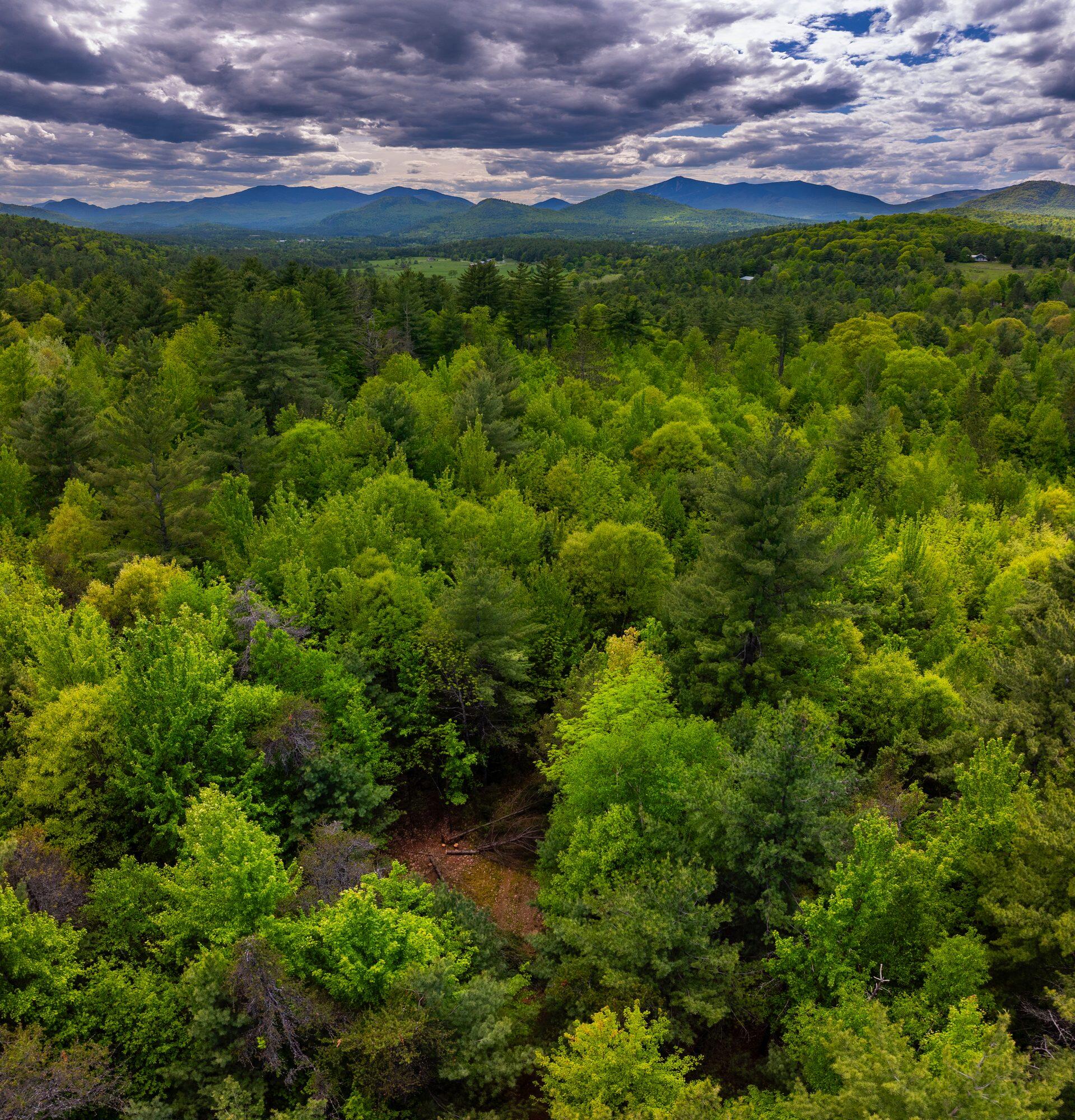 Lot 3 Wildernesscapes Way Way, Jay, New York image 5