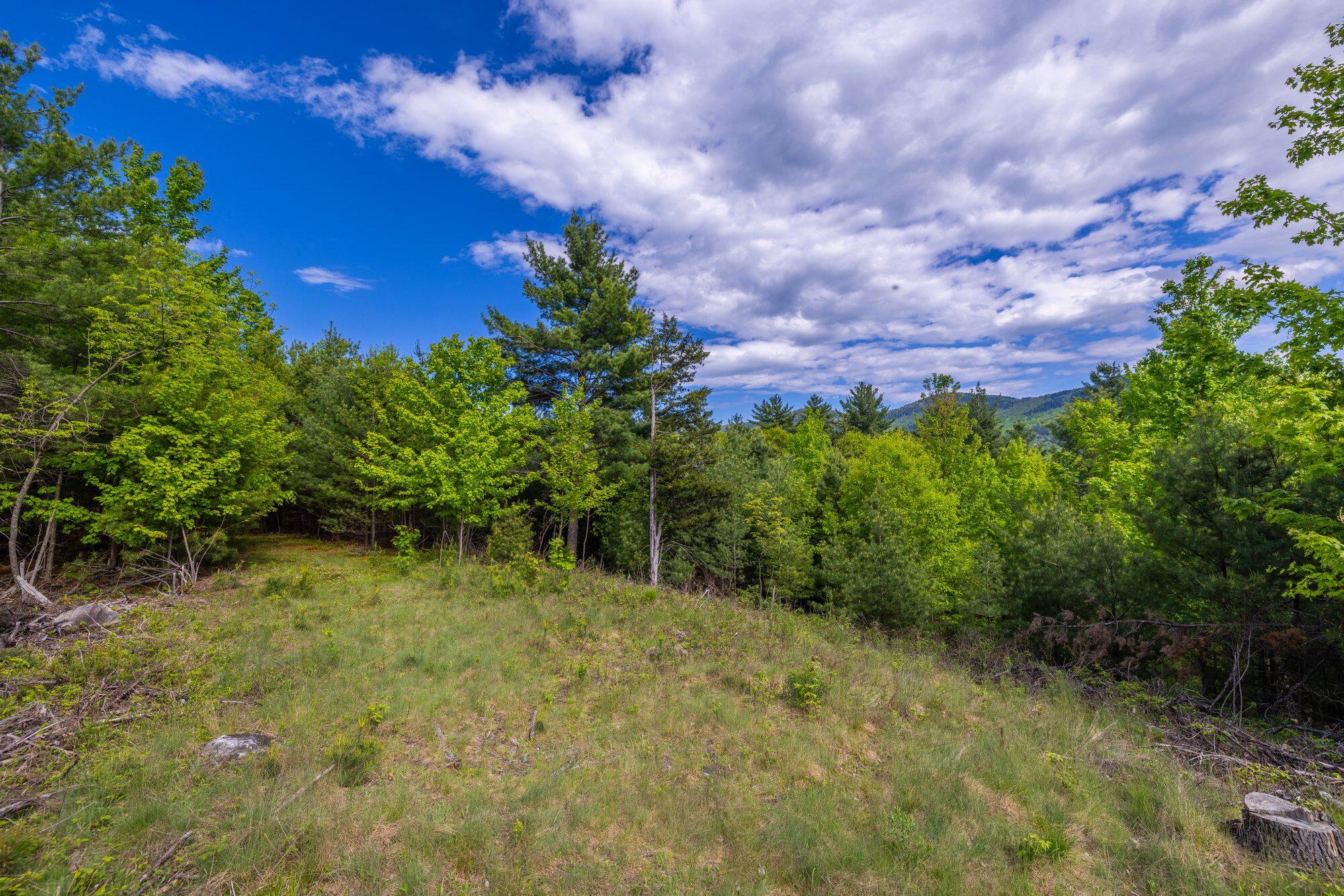 Lot 3 Wildernesscapes Way Way, Jay, New York image 6