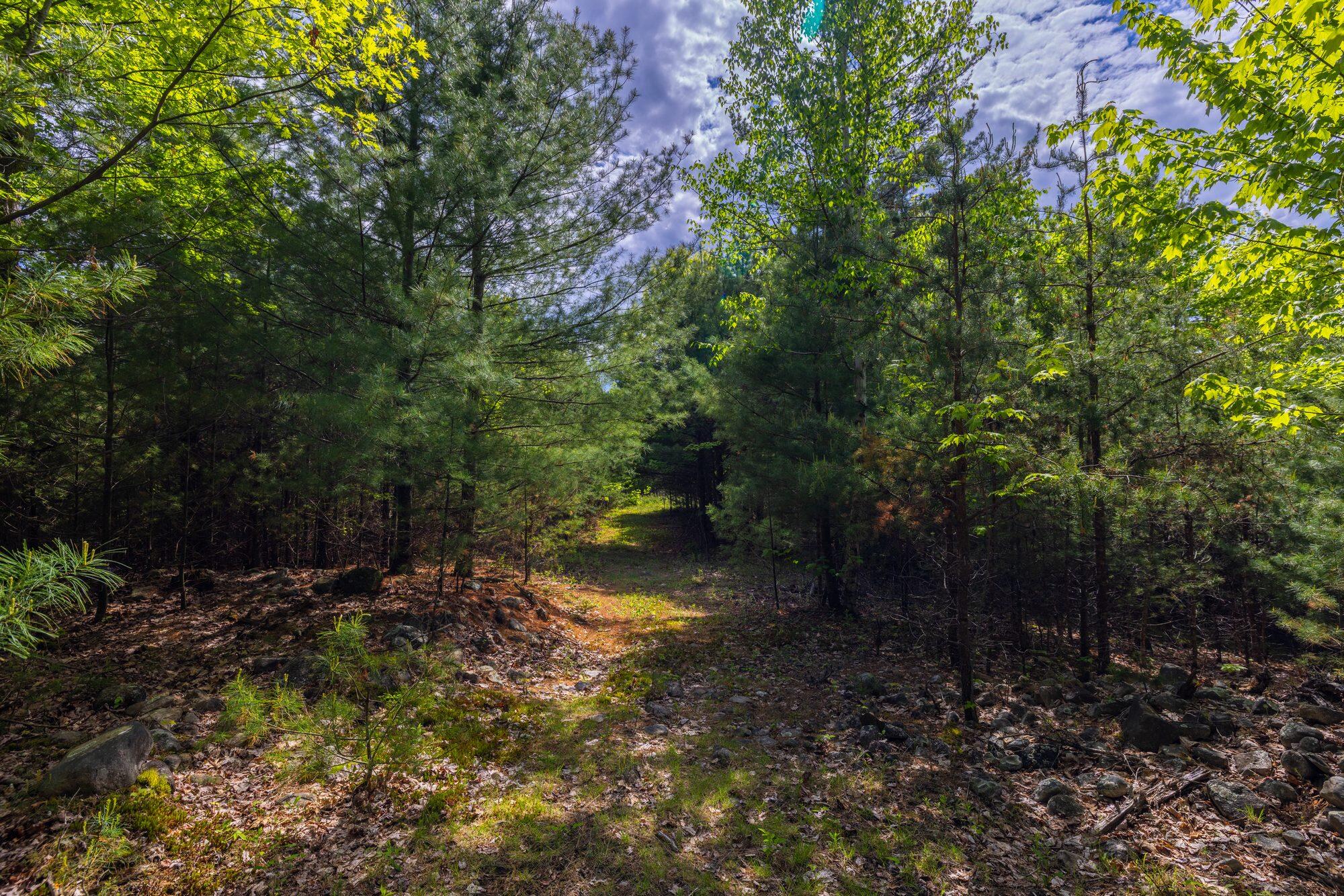 Lot 3 Wildernesscapes Way Way, Jay, New York image 8