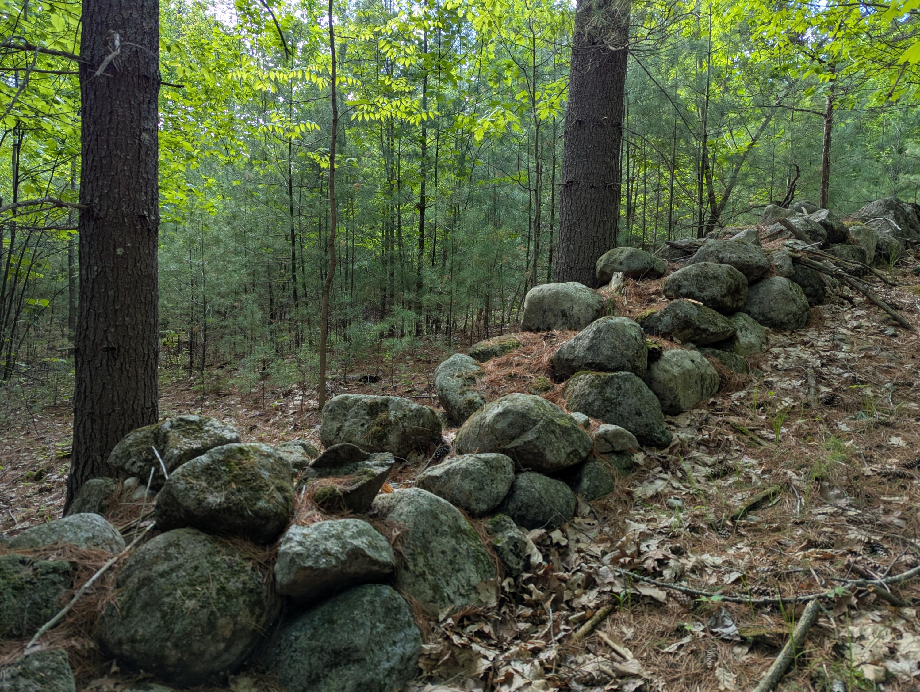 Lot 3 Wildernesscapes Way Way, Jay, New York image 11