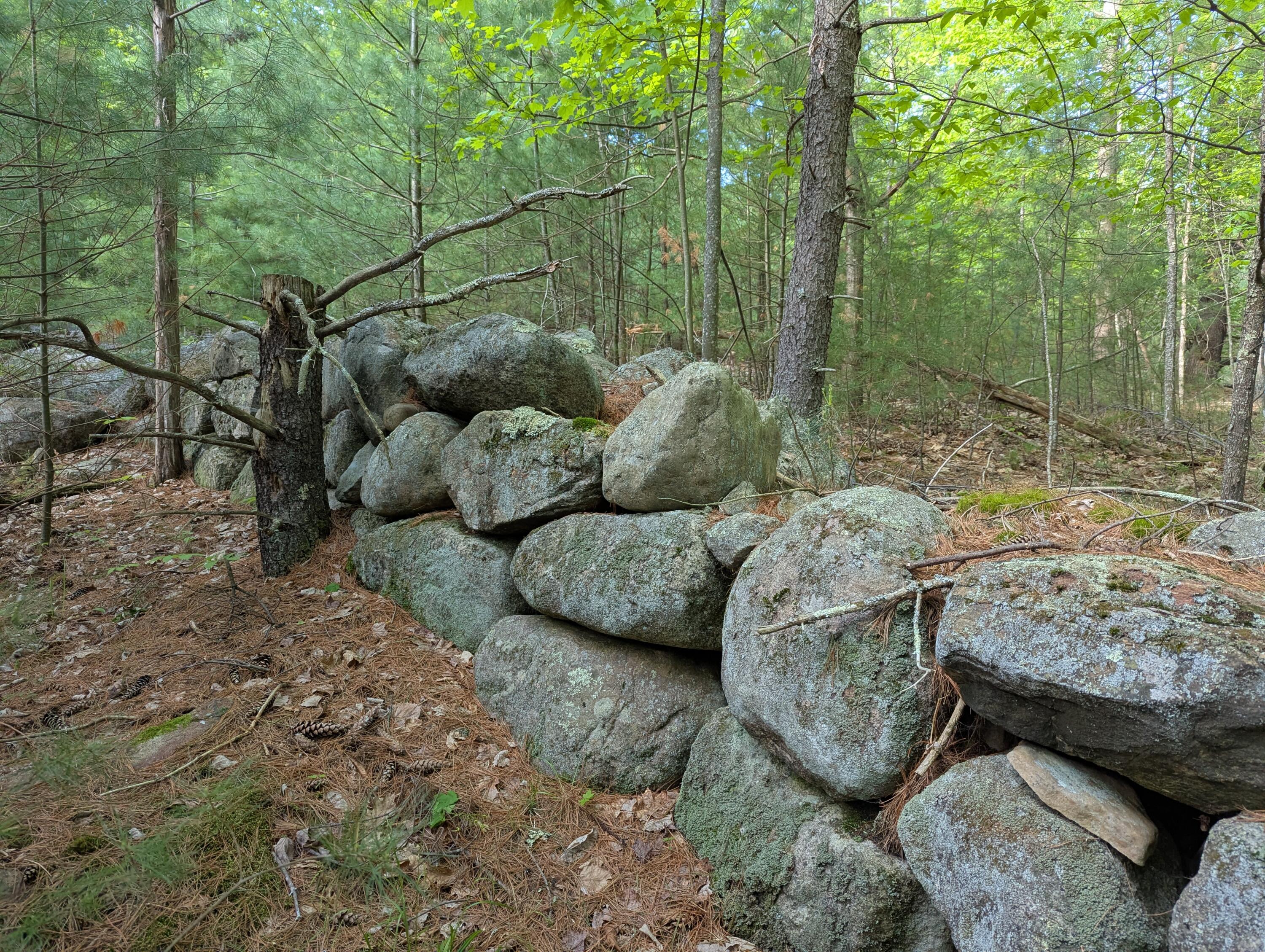 Lot 3 Wildernesscapes Way Way, Jay, New York image 12